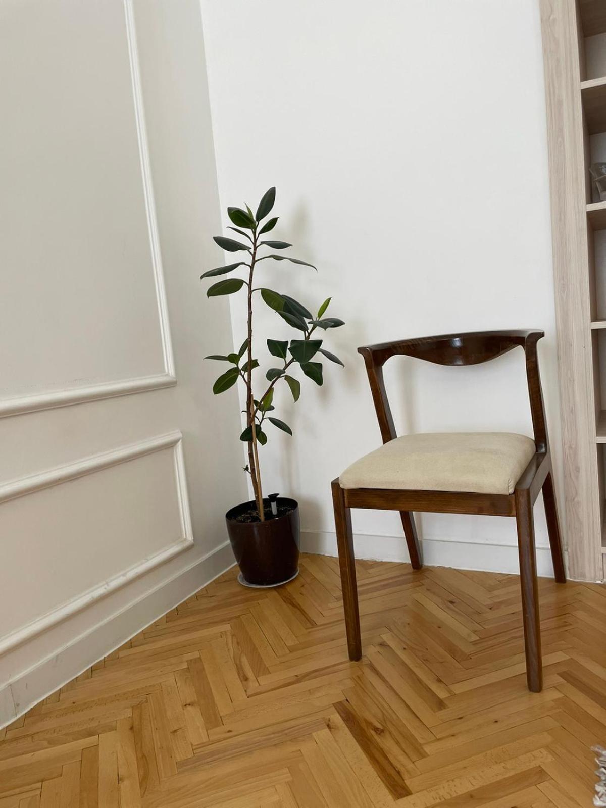 Apartment Art Tabidze