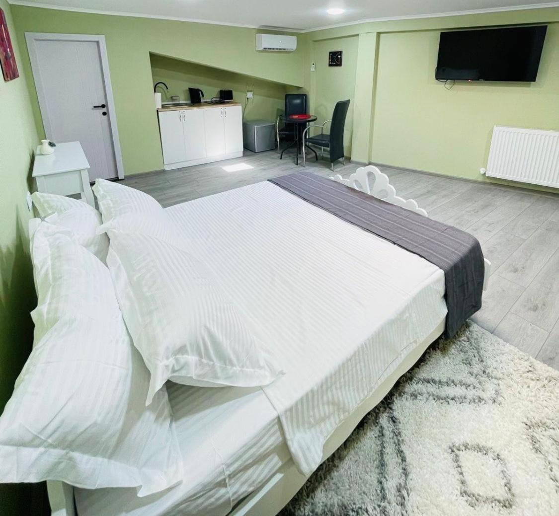 Apartament Art Tabidze *